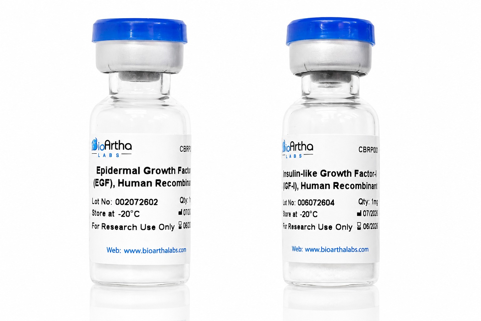 Growth Factors