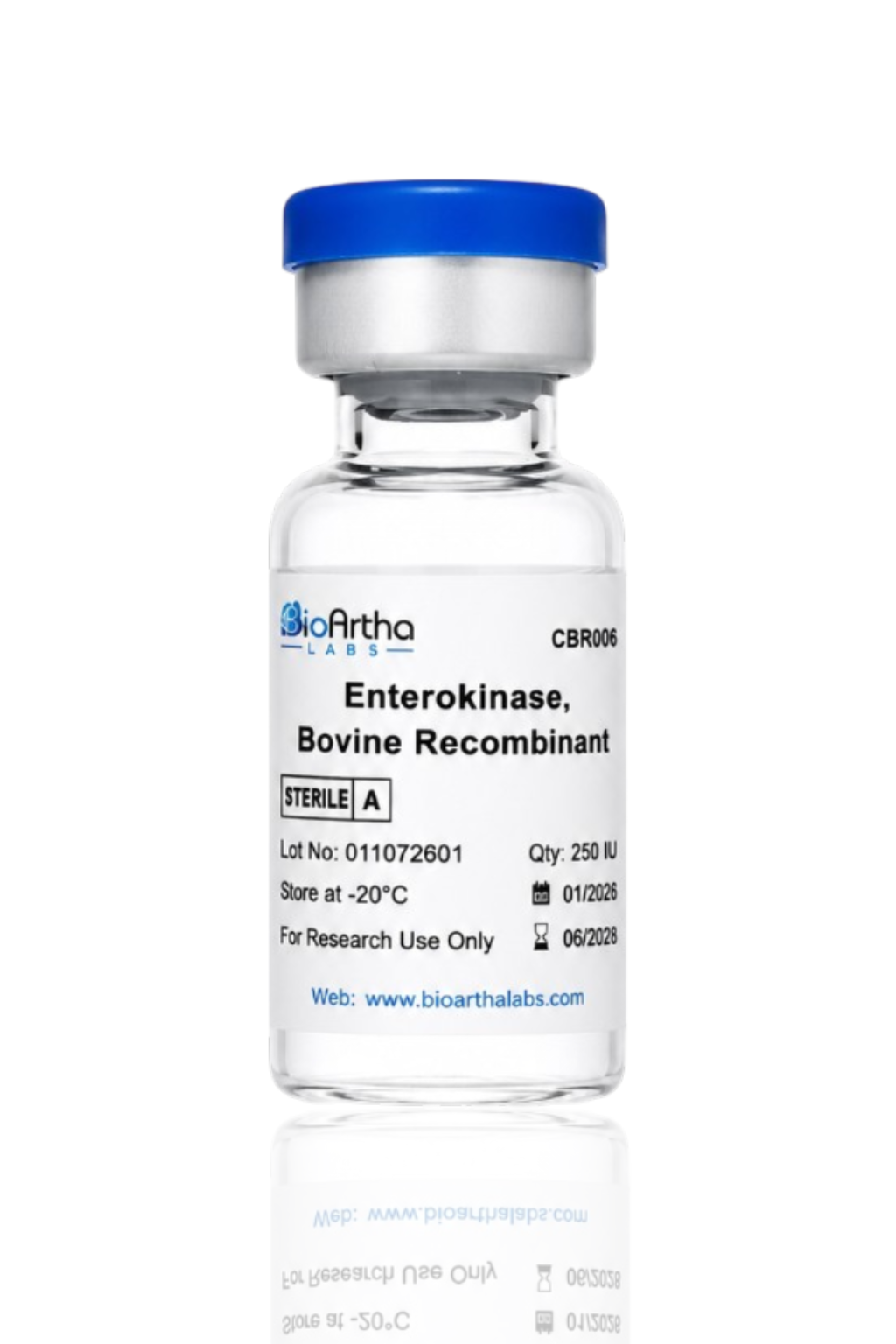 Recombinant Enterokinase Bovine