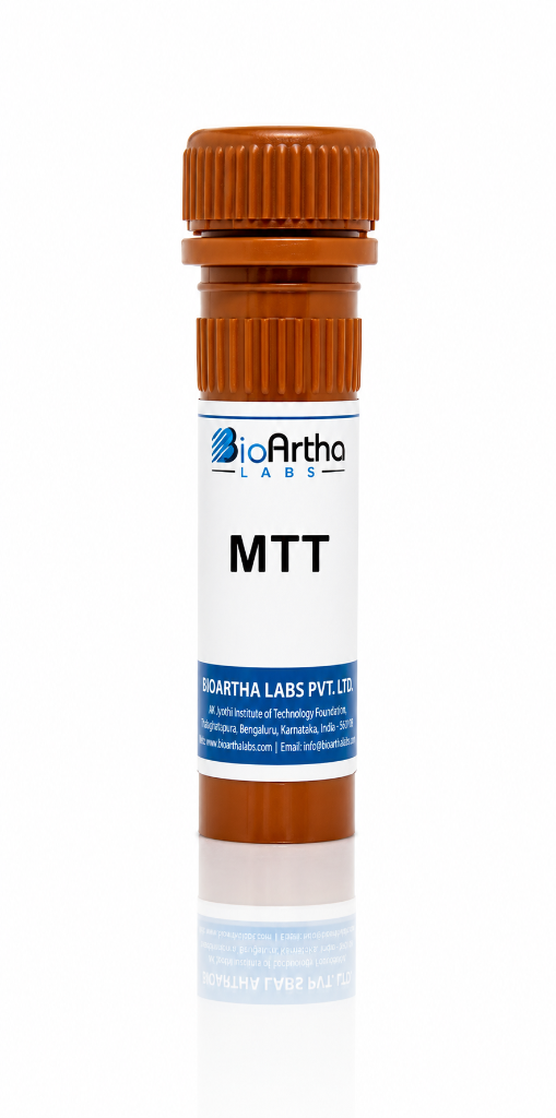 Transfection Kits